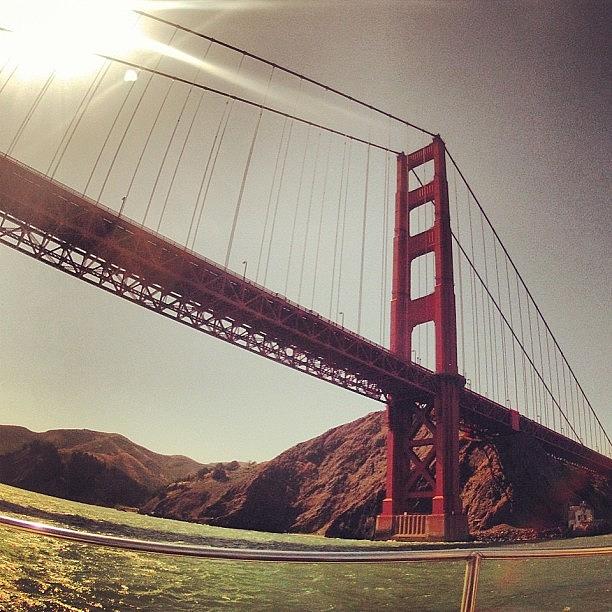 When You Go To San Francisco, You Need Photograph by Tiffiny Costello