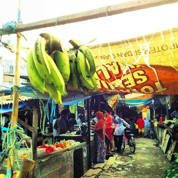 Indonesia Photograph - Where Do You Can Find Hanging Banana?? by Kei Shinta