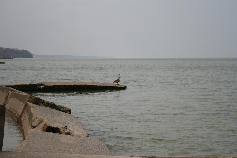Solitude on Lake Erie Photograph by Valerie Collins