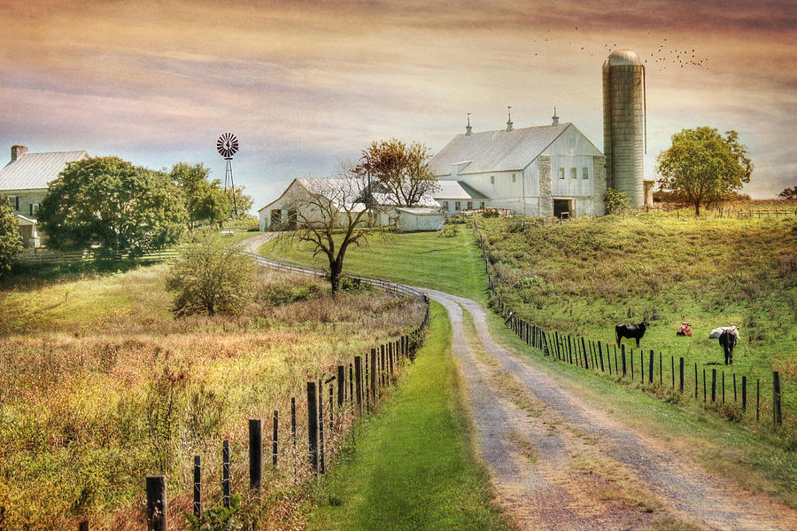 Farm Photograph - Where Life is Found by Lori Deiter