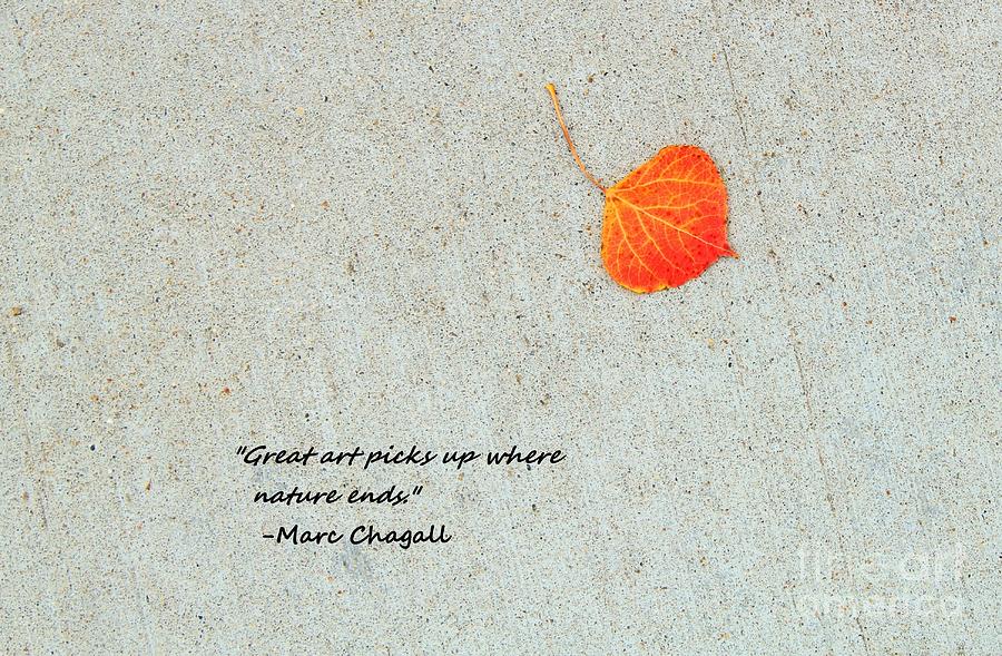 Where Nature Ends Photograph by Jimmy Ostgard Fine Art America