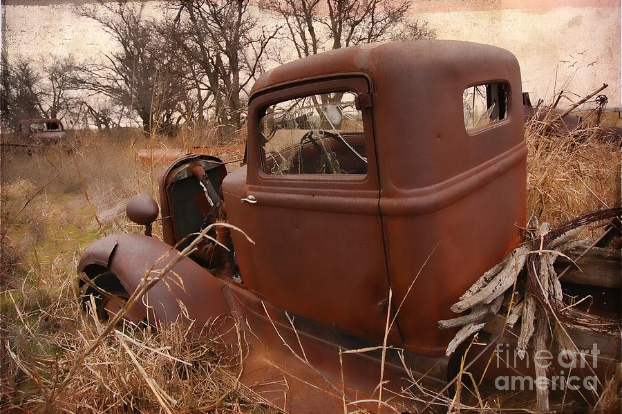 Where Old Trucks Go To Die Photograph by Betty LaRue