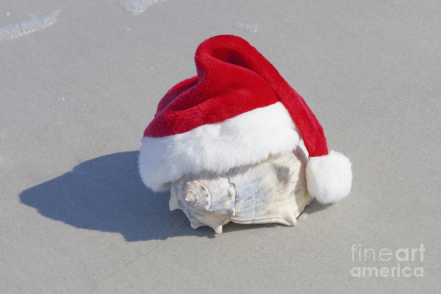 Where Santa Hangs His Hat Photograph by Diane Macdonald
