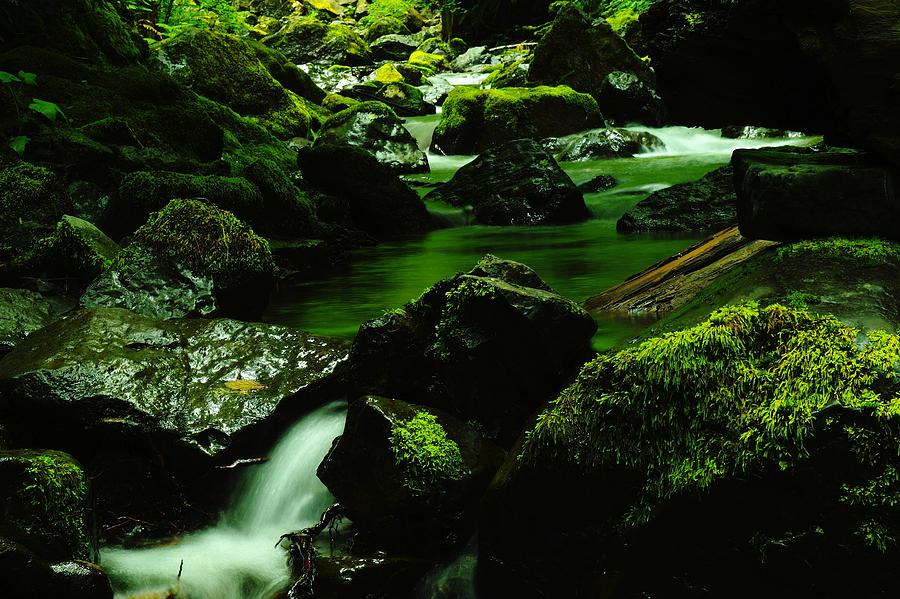 Olympic National Park Photograph - Where Solace Abounds by Jeff Swan