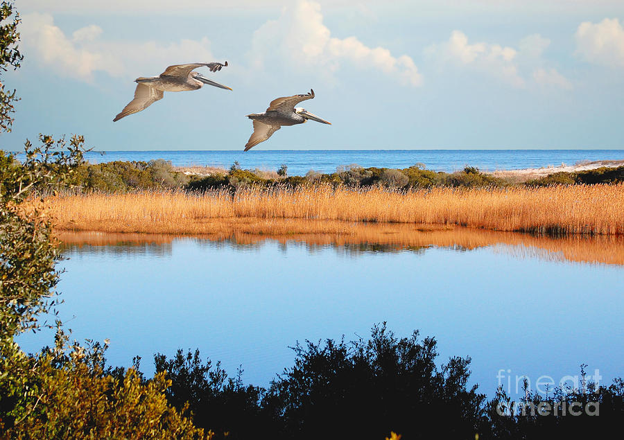 Where The Marsh Meets The Atlantic Photograph by Kathy Baccari