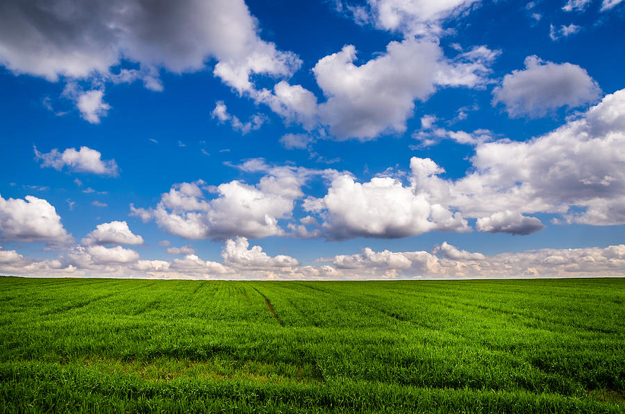 Where the sky meets the land Photograph by Vlad Costras - Fine Art America