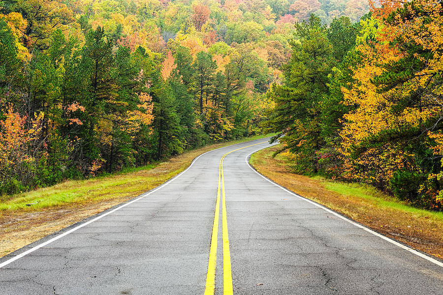 Where this Road will Take You - Talimena Scenic Highway - Oklahoma ...