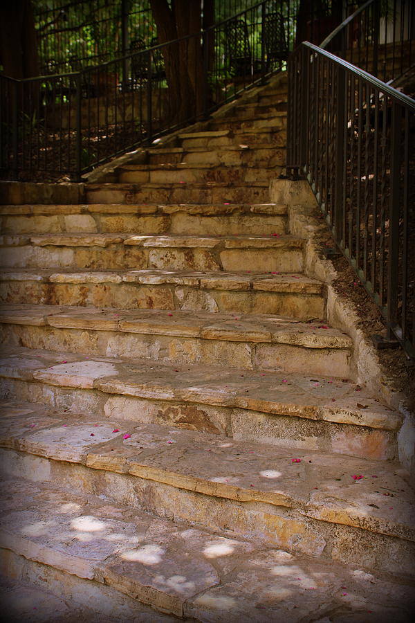 San Antonio Photograph - Where Will It Lead..... by Beth Vincent