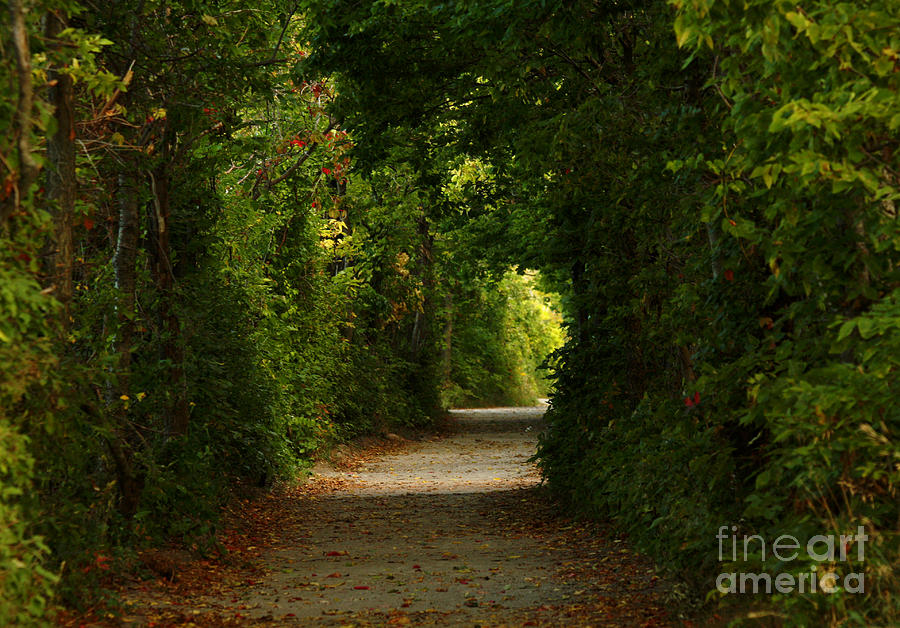 Landscape Photograph - Wherever the Path Leads by Inspired Nature Photography Fine Art Photography