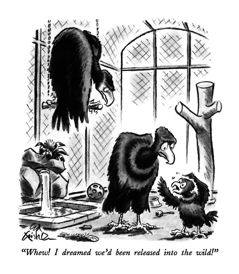 Whew! I Dreamed Wed Been Released Into The Wild! Drawing by Ed Fisher Whew! I Dreamed Wed Been Released Into The Wild! Drawing by Ed Fisher