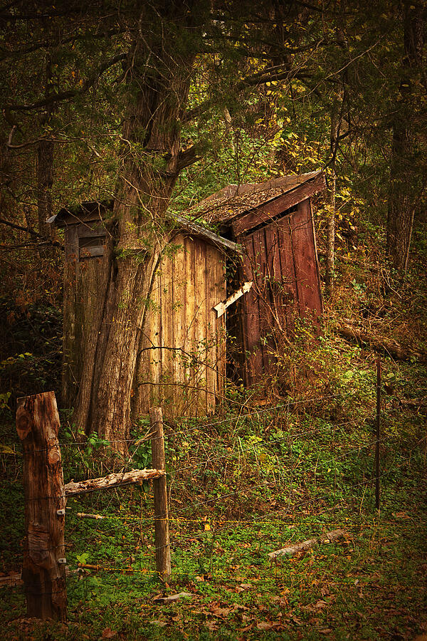 Which Way to the Outhouse? Photograph by Priscilla Burgers