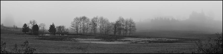 Whidbey Island Meadow in Fog Photograph by Bob VonDrachek
