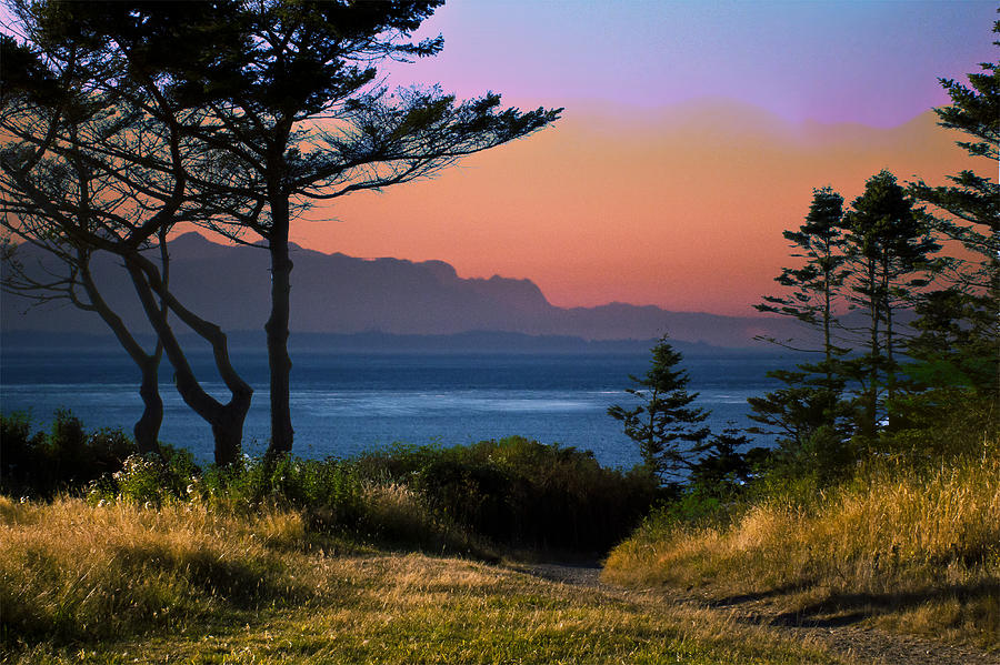 Sunset Photograph - Whidbey Island Sundown by Georgianne Giese