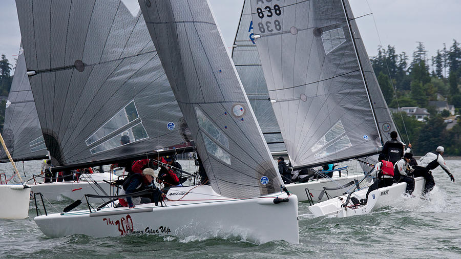 Whidbey Race Week Photograph by Steven Lapkin