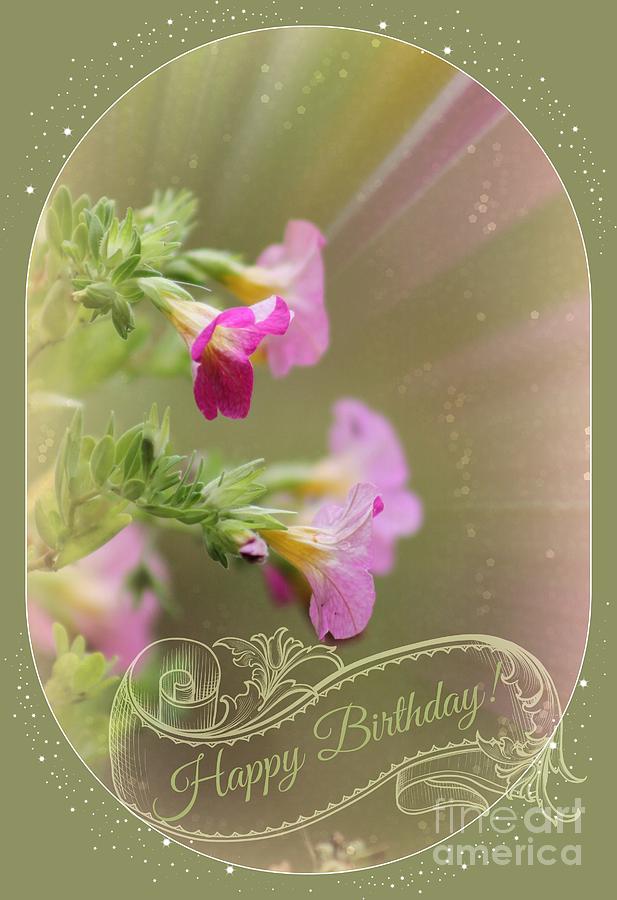 Flower Photograph - Whimsical Birthday by Leone Lund