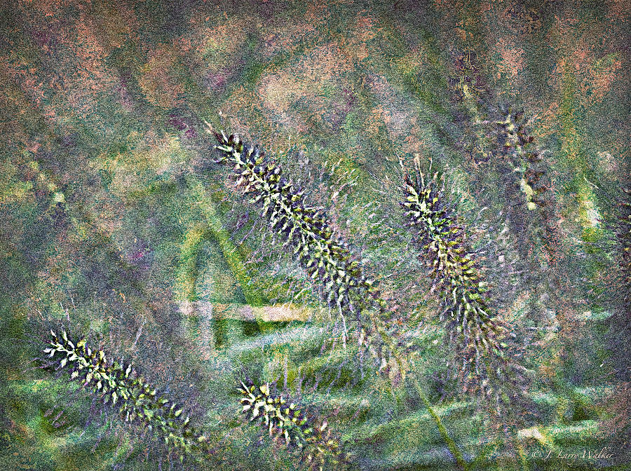 Whimsical Foxtail Grass Digital Art by J Larry Walker