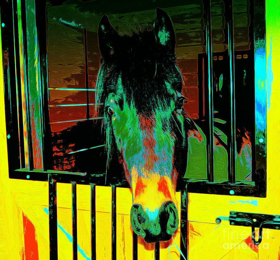 Whimsical Horse Photograph by Mim White