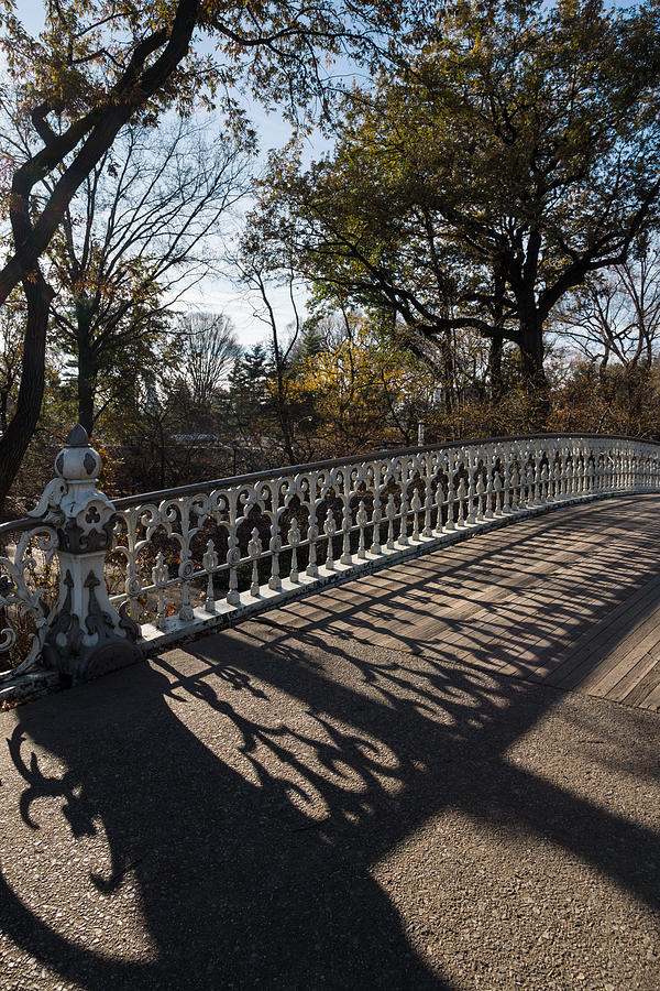 Vintage Photograph - Whimsical Shadows - New York City Central Park Bridge by Georgia Mizuleva