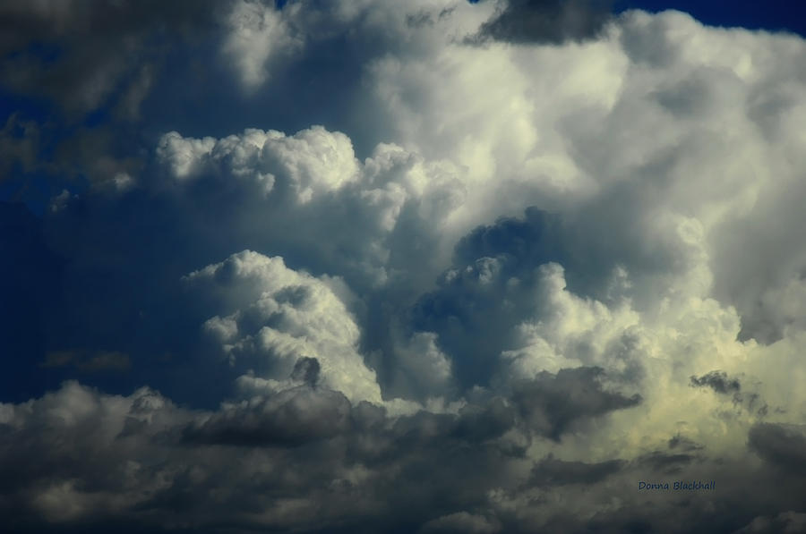 Whipped Clouds Photograph by Donna Blackhall