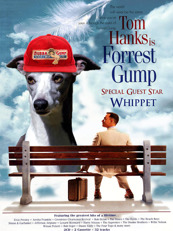 Whippet Art - Forrest Gump Movie Poster Painting by Sandra Sij