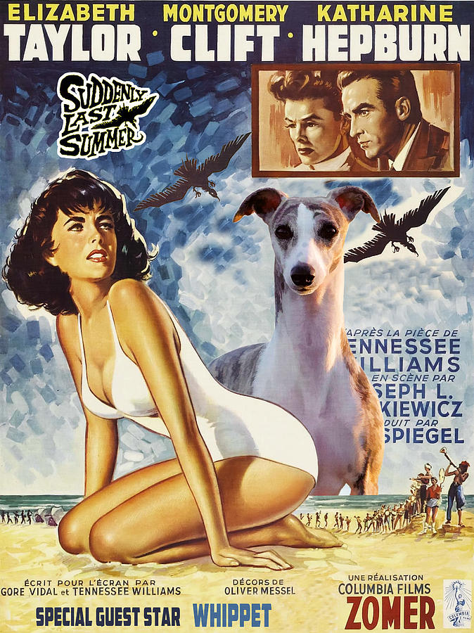 Dog Painting - Whippet Art - Suddenly Last Summer Movie Poster by Sandra Sij