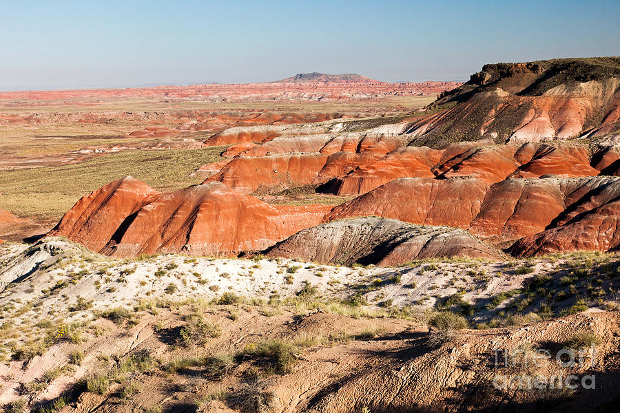 Whipple Point Painted Desert Petrified Forest National Park Photograph by Fred Stearns