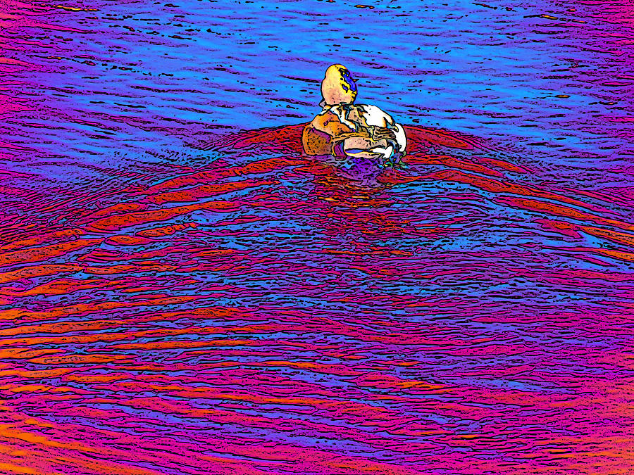 Duck Photograph - Whirl of Colored Suns by Lenore Senior