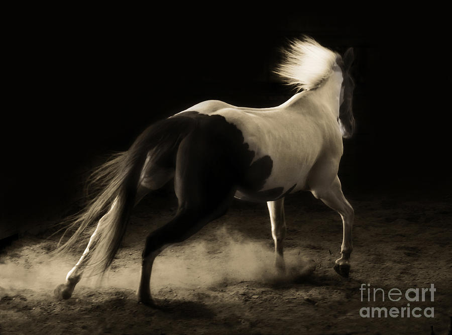 Unbridled Spirit by Michelle Twohig Unbridled Spirit by Michelle Twohig