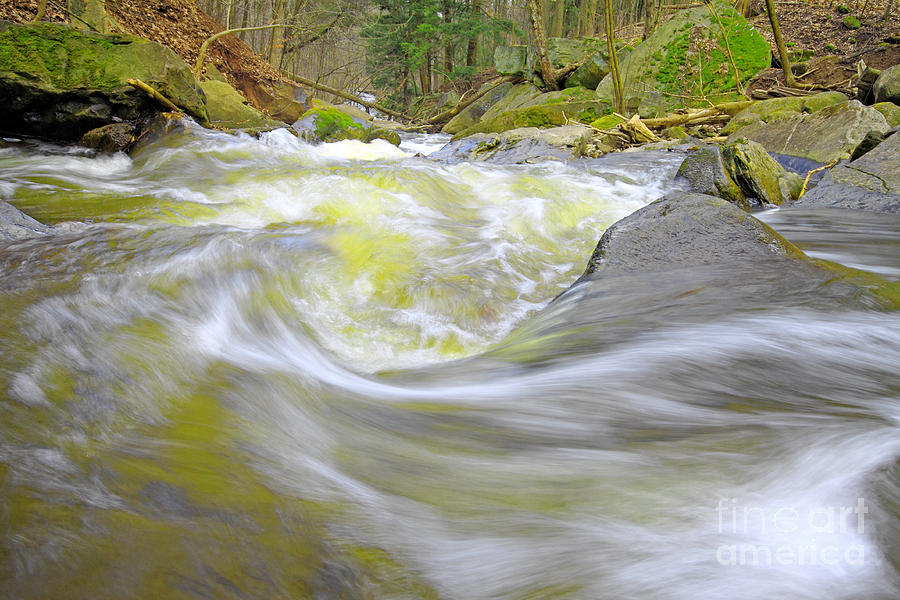 Nature Photograph - Whirlpool in Forest by Charline Xia