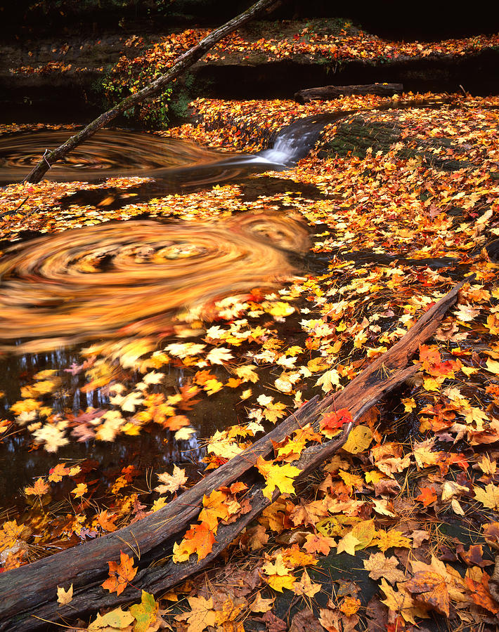 Whirlpool of Leaves Photograph by Ray Mathis