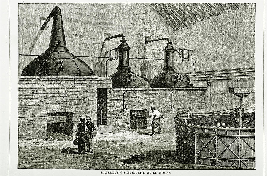 Whisky Distillery Photograph by George Bernard/science Photo Library