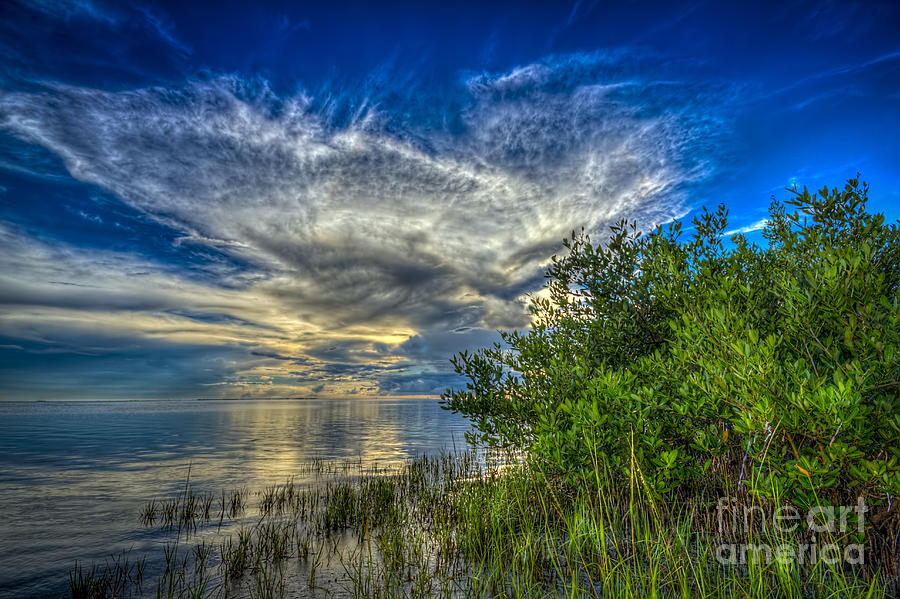 Tampa Photograph - Whisper Wind by Marvin Spates