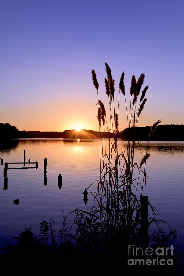 Whispering Pines Lake Sunset Photograph by Ken Howard - Fine Art America