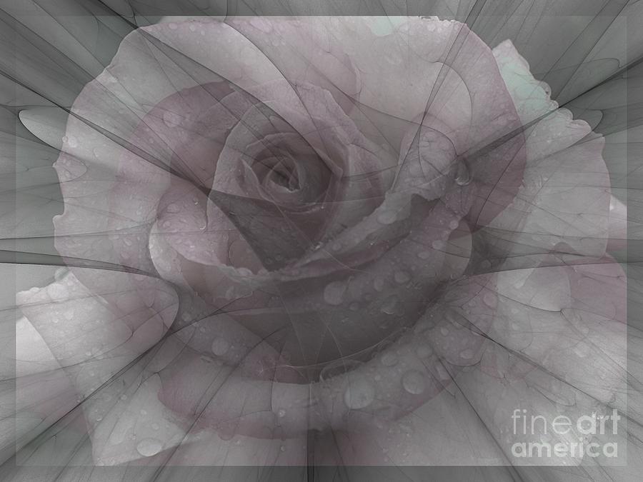 Whispering Rose Digital Art by Elizabeth McTaggart
