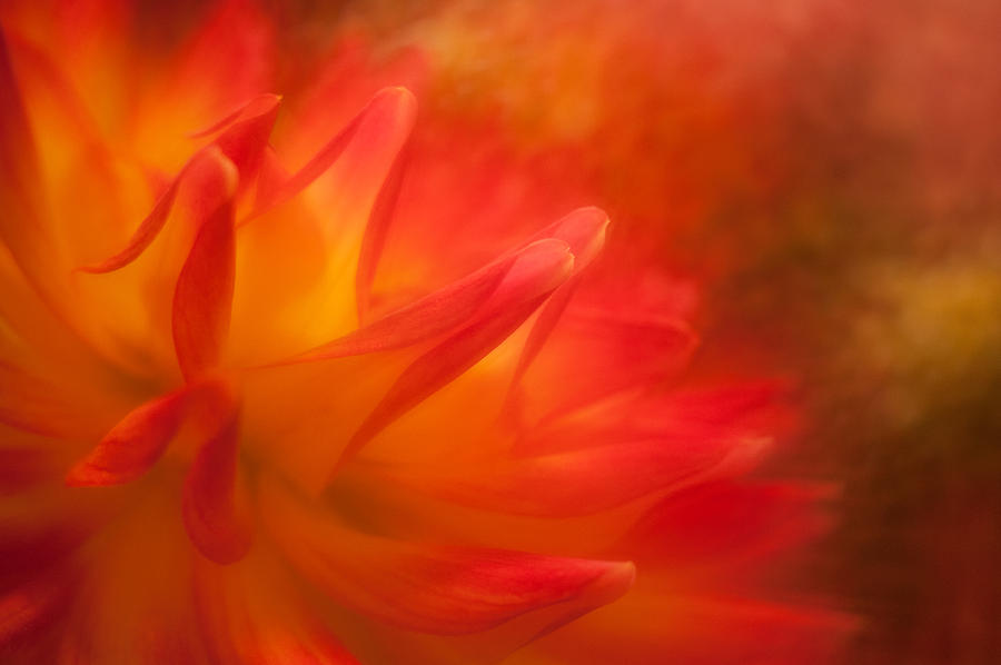 Whispers Of Warmth Photograph by Donna Eaton - Fine Art America