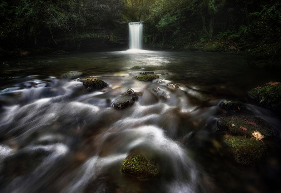 Waterfall Photograph - Whispers Of Water by Fran Osuna