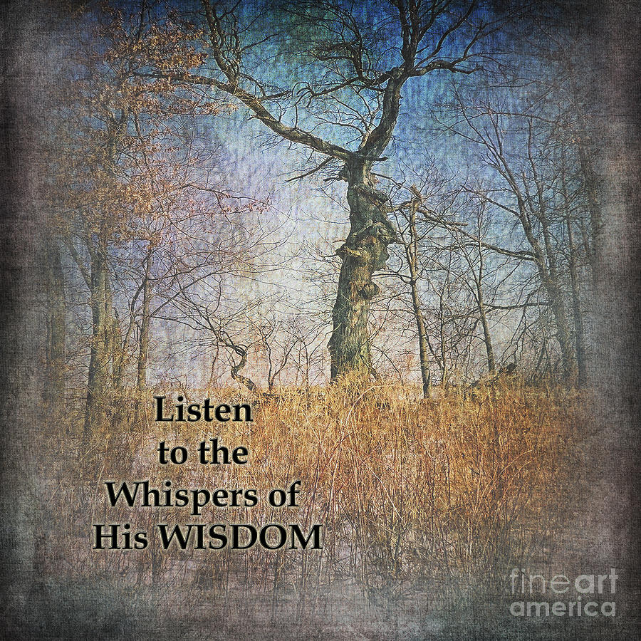 Whispers Of Wisdom Photograph