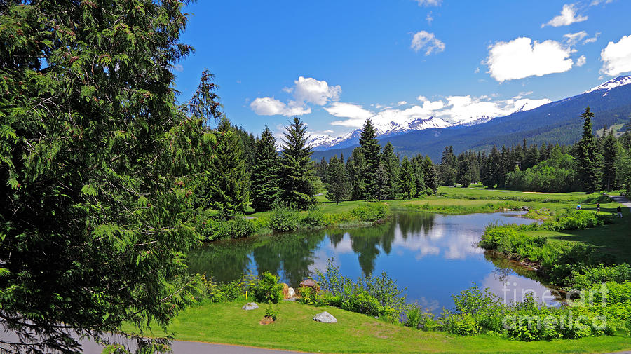Golf Photograph - Whistler Golf Club by Charline Xia
