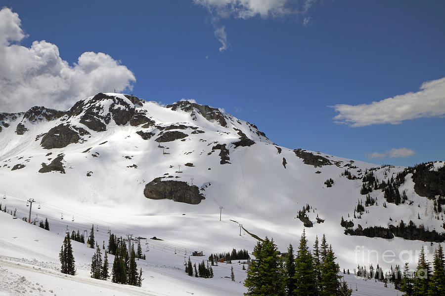 Whistler Ski Slopes Photograph by Charline Xia