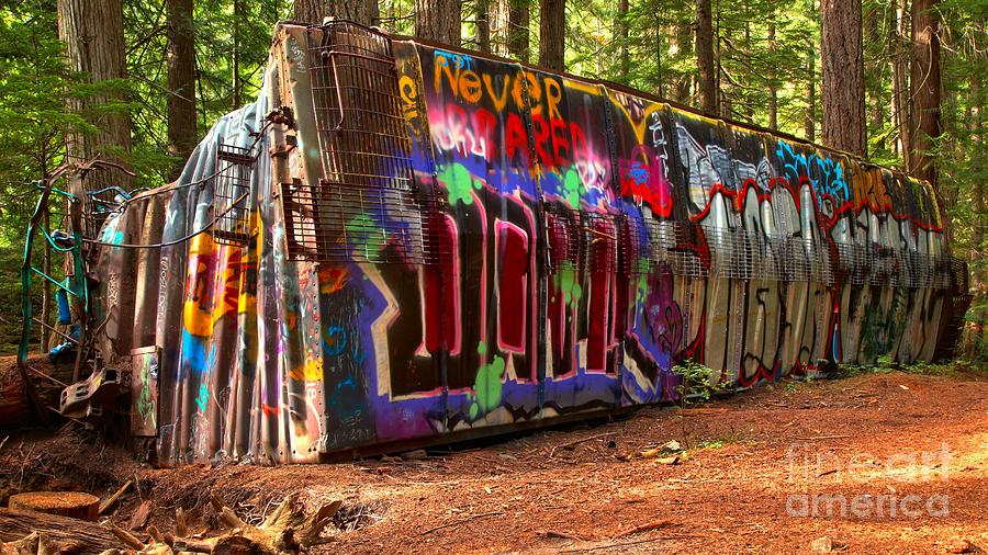 Whistler Train Wreck Graffiti Photograph by Adam Jewell