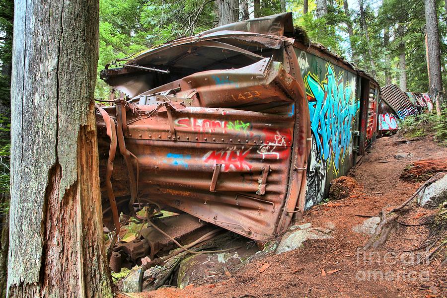 Whistler Train Wreck Hits A Tree Photograph by Adam Jewell