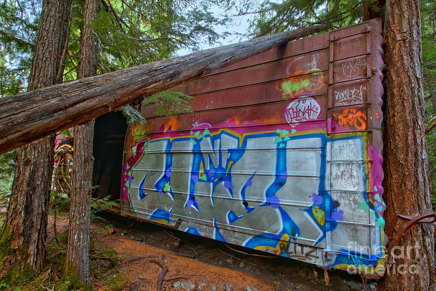 Whistler Train Wreck In The Woods Photograph by Adam Jewell