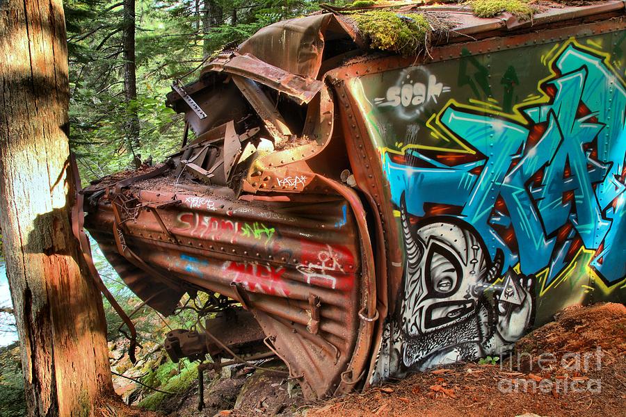 Whistler Train Wreck Tree Photograph by Adam Jewell
