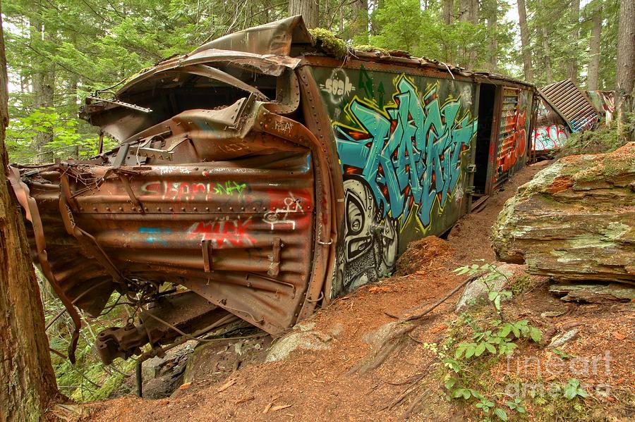 Whistler Train Wrecked Into A Tree Photograph by Adam Jewell