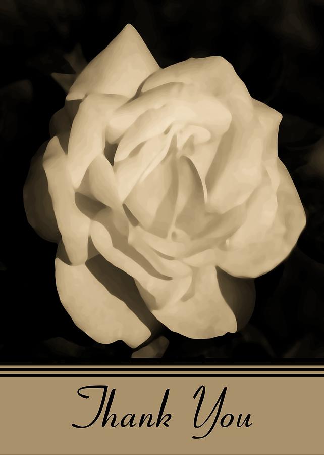 White Acrylic Rose Digital Art by Madeline  Allen - SmudgeArt