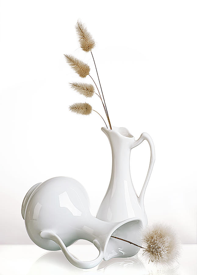 Flower Photograph - White by Aida Ianeva
