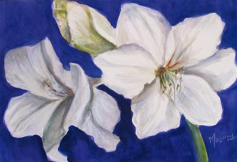 White Amaryllis  Painting by Melinda Saminski