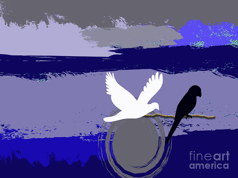Abstract Photograph - White and Black Birds by Tina M Wenger