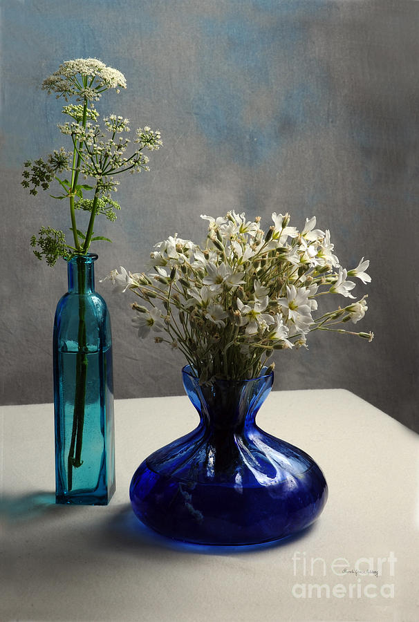 White and Blue Elegance Photograph by Randi Grace Nilsberg