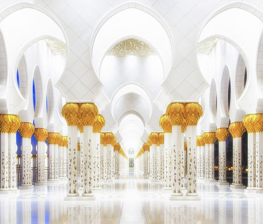 White And Gold Photograph by Mohamed Raof